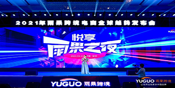 广州联雅荣获“2020年度最佳跨境软件营销”称号